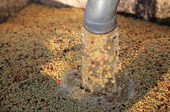 半水洗