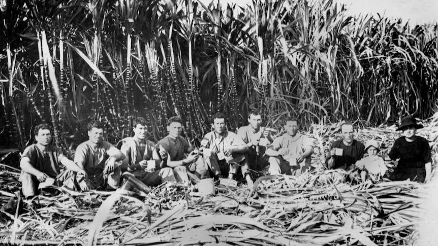 1923年，昆士兰州因尼斯费尔的意大利甘蔗收割工正在休息