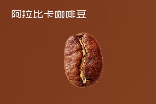 标签：阿拉比卡图